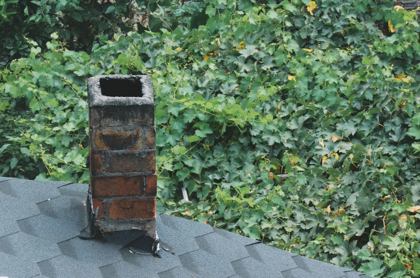 A rustic brick chimney on a shingled roof with vibrant leafy background.